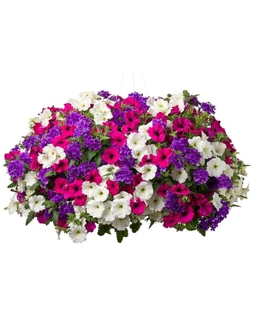 Flowering Annual Hanging Basket